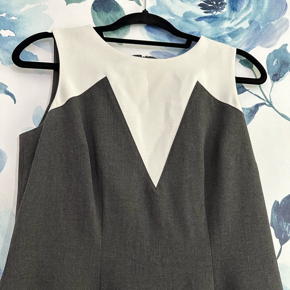 EUC ANN Taylor Shift Dress - Picture 2 of 4